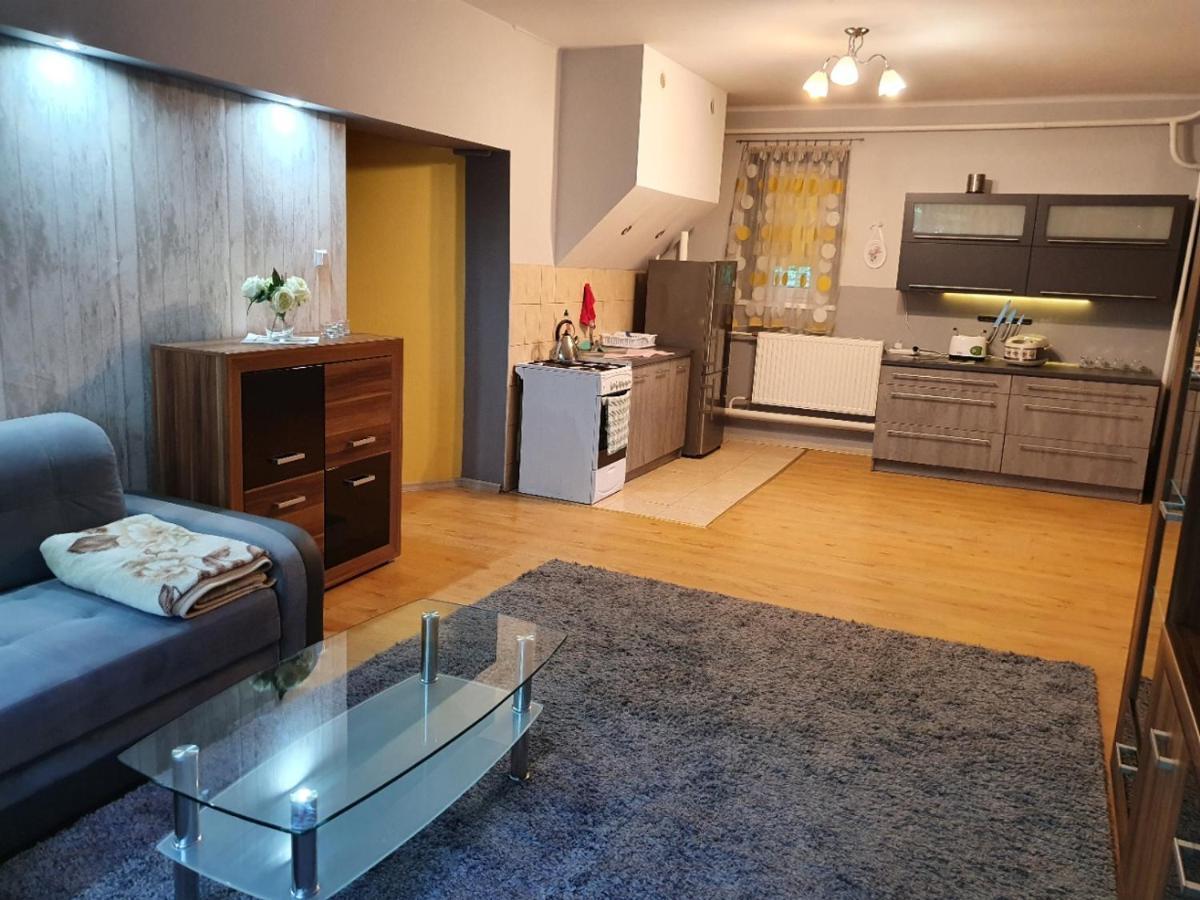 Apartament U Ani Przeczyce Exterior foto